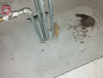 松桃卫生间测漏水价格明细