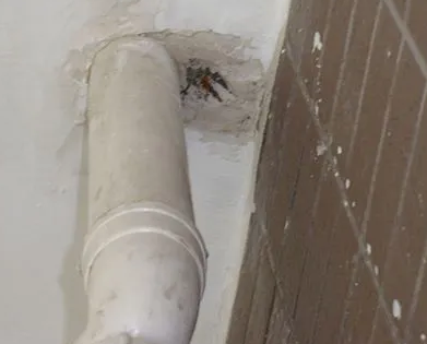 松桃漏水检测哪家好